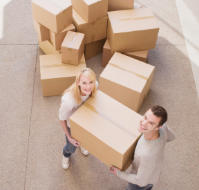 Storage boxes